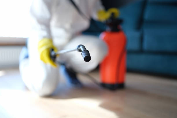 Best Residential Mold Inspection & Testing  in Doa Ana, NM