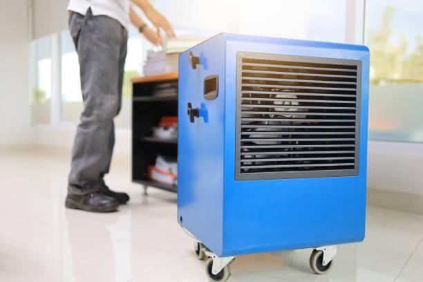 Environmental Consulting for Mold Prevention in Doa Ana, NM