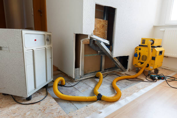 Best Attic Mold Removal  in Doa Ana, NM